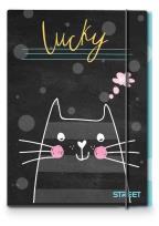 Okładka książki Street Teczka z Gumką My Cat A4 1cm