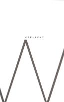 Okładka książki Wielicki. Jeden dzień z życia