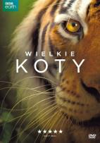Opakowanie Wielkie koty