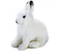 Opakowanie Zając polarny