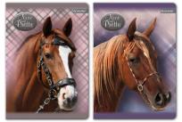 Opakowanie Zeszyt A5 w linie 60 kartek Nice and pretty 5 sztuk mix