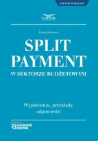 Opakowanie Split Payment w sektorze budżetowym