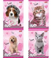 Opakowanie ZESZYT A5 16K MY LITTLE FRIEND KRATKA 32844