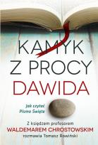 Okładka książki Kamyk z procy Dawida