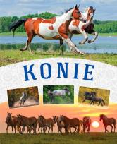 Okładka książki KONIE