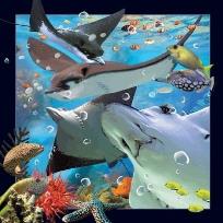 Opakowanie Pocztówka 3D Płaszczka