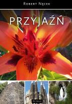Okładka książki PRZYJAŹŃ WYD. 3