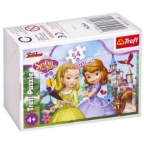 Opakowanie Puzzle 54 mini Magiczny świat księżniczki 1 TREFL