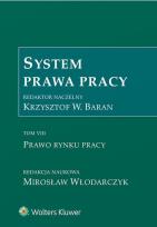 Okładka książki System Prawa Pracy Tom 7 Prawo rynku pracy