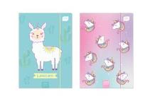 Opakowanie Teczka z gumką A4+ LUX UV Unicaty (10szt)