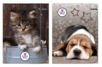 Opakowanie Teczka z gumką A4 The Sweet Pets