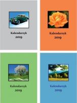 Opakowanie Terminarzyk kieszonkowy 2019 M8 tygodniowy MIX