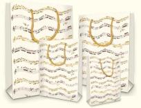 Opakowanie Torebka ozdobna BXS502C37A Musica mini