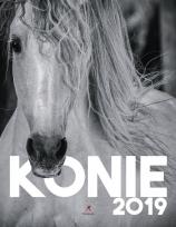 Opakowanie Kalendarz zdzierak Artsezon KALENDARZ