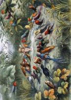 Opakowanie Karnet B6 z kopertą Musical Elf