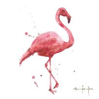 Opakowanie Karnet kwadrat mały z kopertą Flamingo Coral