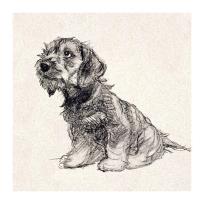 Opakowanie Karnet kwadrat z kopertą Puppy Love