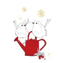 Opakowanie Karnet Swarovski kwadrat CL3209 Święta Ptaszki