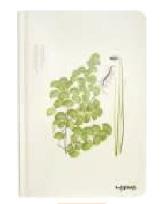 Opakowanie Notes A5/96K Miłorząb Duży