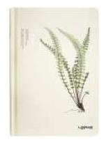 Opakowanie Notes A5/96K Paproć Duża