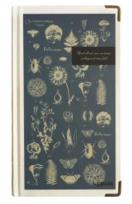 Opakowanie Notes H5/96K Zwierzęta i Rośliny Niebieski