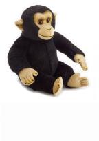 Opakowanie Szympans zwyczajny Pacynka