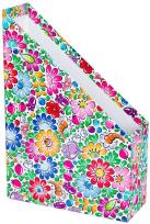 Opakowanie Gazetnik - opolski FOLKSTAR