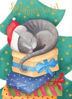 Opakowanie Karnet B6 Boże Narodzenie - Kocur (10szt)