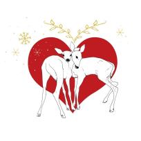 Opakowanie Karnet Swarovski kwadrat CL3203 Święta Sarny