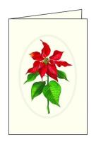 Opakowanie Karnet świąteczny duży 11,5x17cm AGN 778