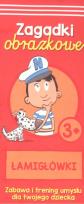 Okładka książki ŁAMIGŁÓWKI ZAGADKI W OBRAZKACH KAPITAN NAUKA