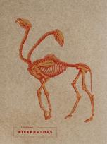 Opakowanie Notes Bicephalous