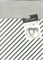 Opakowanie Pudełko srebrzone XL 1319-1