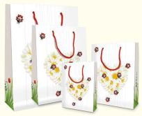 Opakowanie Torebka ozdobna BXS250C05C Coccinella średnia