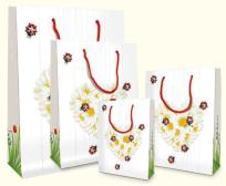 Opakowanie Torebka ozdobna BXS250C05D Coccinella duża