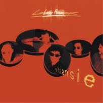 Opakowanie W transie