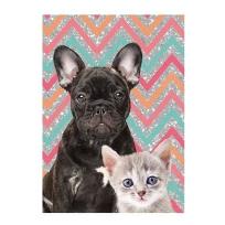 Opakowanie Błyszczący pamiętnik Dog & Cat