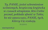 Opakowanie Magnes 35 na lodówkę - Ty, PANIE, jesteś...