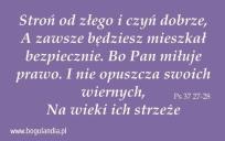 Opakowanie Magnes 43 na lodówkę -Stroń od złego i czyń dobrze