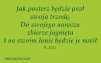Opakowanie Magnes 45 na lodówkę - Jak pasterz będzie pasł..