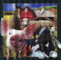 Opakowanie Pocztówka 3D - mix wzorów