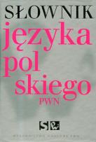 Opakowanie Słownik języka polskiego PWN z płytą CD