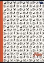 Opakowanie Zeszyt A5 w kratkę 80 kartek Fizyka