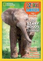 Okładka książki Dzikie zwierzęta T.1 Słoń