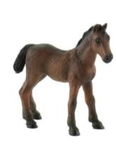 Opakowanie Figurka - Źrebię rasy Westwalskiej