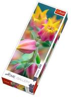 Opakowanie Puzzle 300 Home Gallery - Kwiaty w rozkwicie TREFL