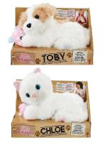 Opakowanie Scruffies Chloe / Toby i przyjaciel