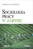 Okładka książki Socjologia pracy w zarysie