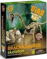 Opakowanie Wyprawa Paleontologiczna - Brachiosaurus