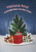 Opakowanie Karnet Boże Narodzenie 3D B6 3D-BNB 172305